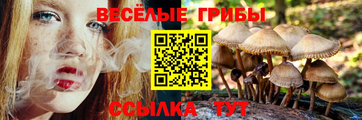 Галлюциногенные грибы Psilocybine cubensis  Вход с VPN  Карпинск 